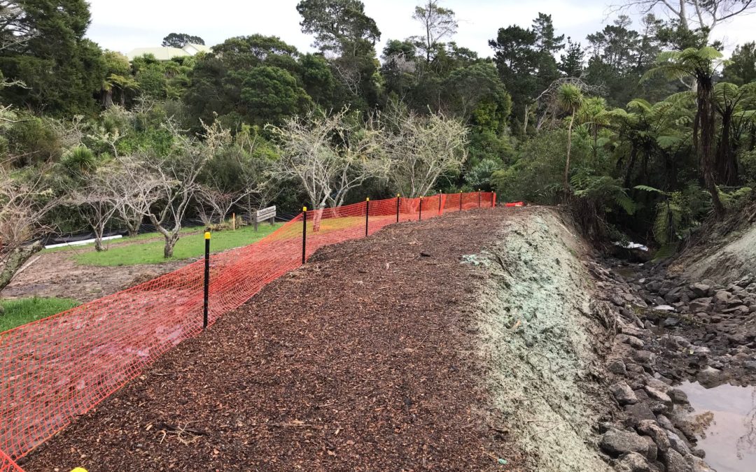Stream Restoration Works, Orchard Reserve